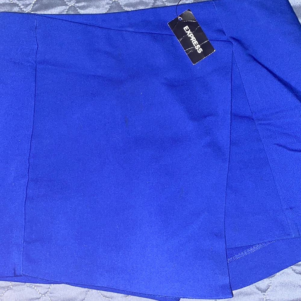 Skirt/Short from Express